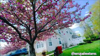 ONE SWEET SPRING DAY!