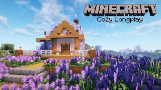 Minecraft Cozy Longplay - Lavender Field - Cute Cottage (No Commentary) [Biomes O' Plenty] 1.20