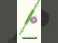 Worm Gear Mechanisms #solidworks #design #mechanic #carcomponent #engineering #shortsfeed