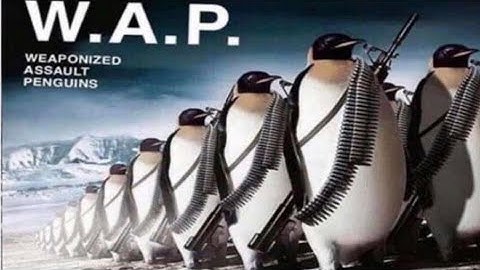 Random tiktoks I found in my camera roll | Vol. 2