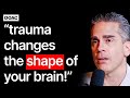 No1 childhood trauma doctor 10 lies they told you about your childhood trauma  paul conti