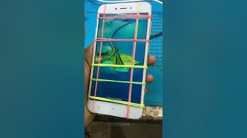 Redmi 5A touch not working