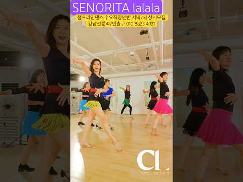 #라인댄스 #senoritalalala #linedance #라인댄스배우는곳 #직장인반 #댄스 #<strong>dance</strong> #선릉역7번출구 010 <strong>8833</strong> 4921