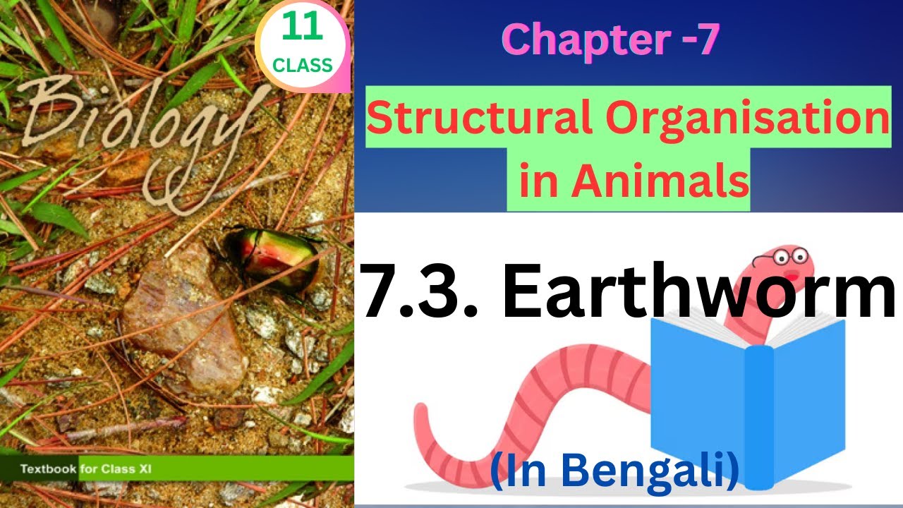 Earthworm Class 11 for NEET@Harun-biozone - YouTube