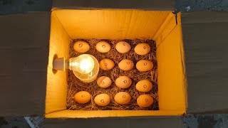 How to make incubator at home \/\/ How to make an incubator at home and hatch chickens eggs