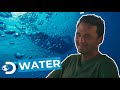 Chapter 1 blue lizard effect  water   aruba tourism x discovery channel uk