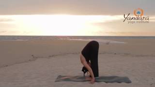 Uttanasana | Standing Forward Bend by Allison Eaton 