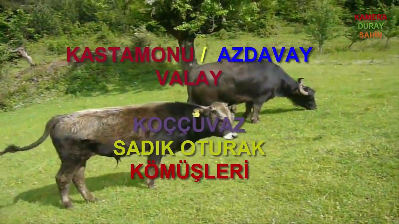 Unutulmaz Yıllar Köy Kömüşleri Kastamonu Azdavay