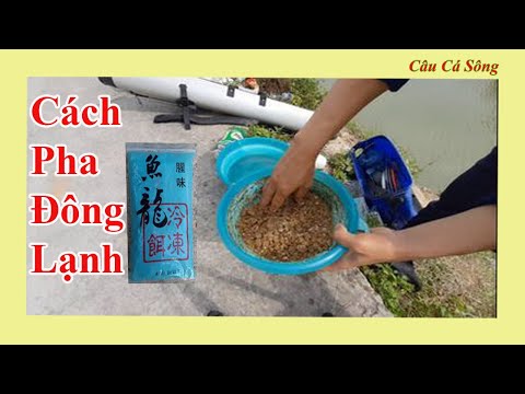 Video Cách Pha Mồi Đông Lạnh Câu Hồ Dịch Vụ | Câu Đài Miền... - youtube