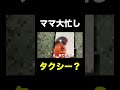 なんで動くねんw #しょうやん男三兄弟 #shorts #ハプニング #事件