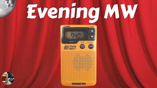 Sangean DT-400WSE RED AM/FM Digital Weather Alert Pocket Radio Red Special Edition 