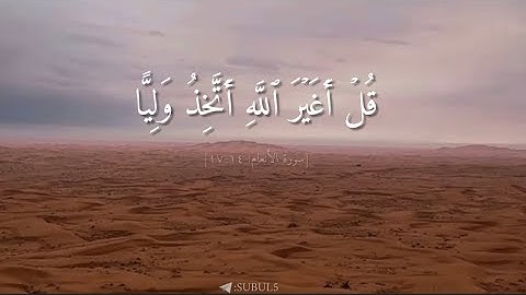 محمد أيوب، سورة الأنعام