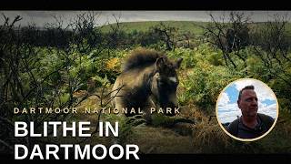 Dartmoor National Park โ Stunning Landscapes of Devon, England
