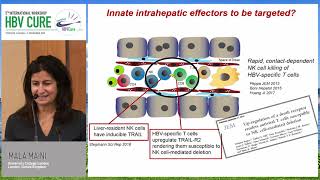 Rationale for modulating innate immunity: TLR, RIG- and others | Mala Maini, MD, PhD
