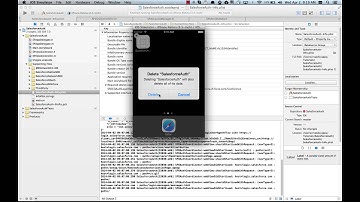 Part 3 - Getting Started With Salesforce iOS Native SDK