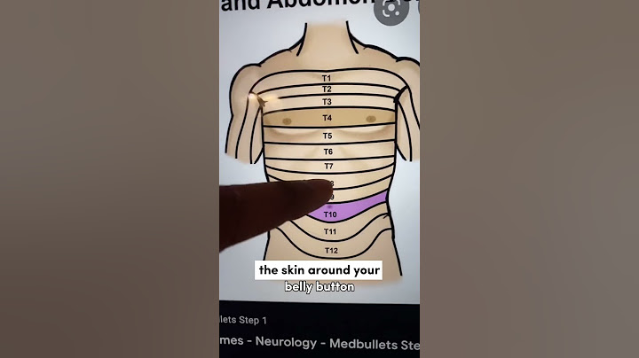 Doctor Explains Why Touching Your Belly Button Feels Naughty!