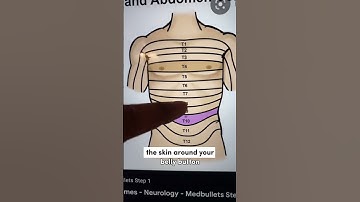 Doctor Explains Why Touching Your Belly Button Feels Naughty!