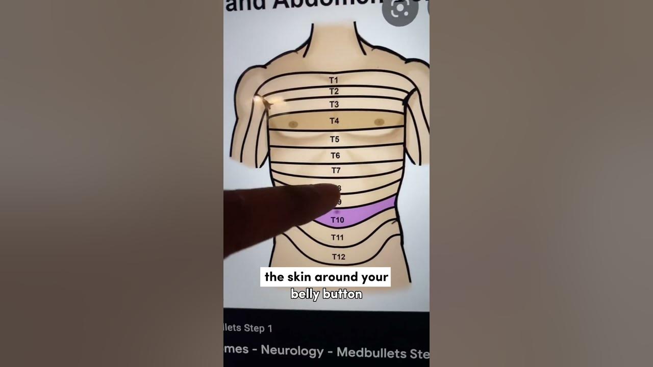 Doctor Explains Why Touching Your Belly Button Feels Naughty! YouTube