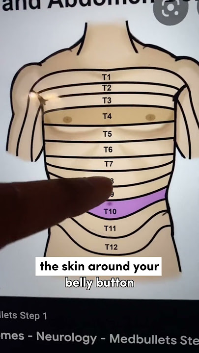 Doctor Explains Why Touching Your Belly Button Feels Naughty!