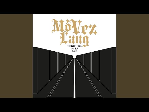On vient de loin (feat. Zoxea)