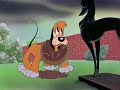 Looney Tunes: Estoy enamorado (cortometraje).