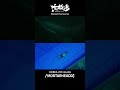 동지도 | VFX Breakdown | MORTARHEADD