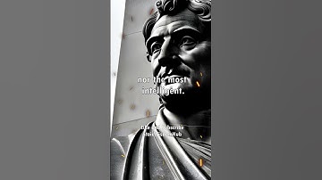 Adaptation: Thriving in a Changing World with Stoic Wisdom!