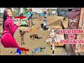Kacha Badam Double Vector 👑99% Headshot🎯27 Kill⚡| Solo Vs Squad Full Gameplay | intel i5 🖥 Freefire