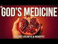 10 Biblical Superfoods: Real Natural Foods That Support Healing and Better Health