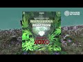 Talamasca &amp; Ivan Castro : MARIJUANA REACTION (XOXO remix)