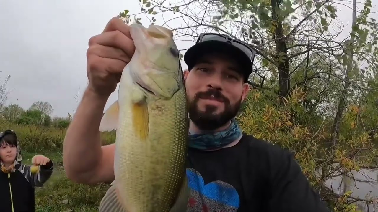 Spinner Baits Along the Bank for Fall Bass ||  Dupage County Illinois Fishing Catch Fish from Shore