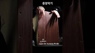[중앙악기] 카혼 DG 무스탕  #percussion #중앙악기 #drums #공연 #낙원상가 #music