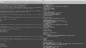 dh18 port 80 and port 8081 demo