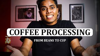 What is Coffee Processing? (From Beans To Cup)