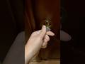 La BAMBOLA DI SQUID GAME MI HA CHIUSO FUORI DI CASA!!😰 #giox97 #shorts #squidgame #squidgame2