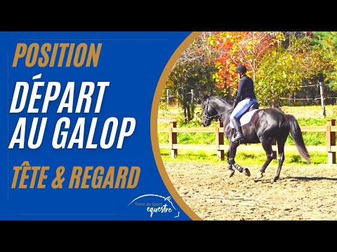 Terre de Sport Equestre - [LE COURS DU JOUR] VARIER L AMPLITUDE DU GALOP Je  vous propose de participer au cours et travailler le même exercice que mes  cavaliers de concours. Filmez