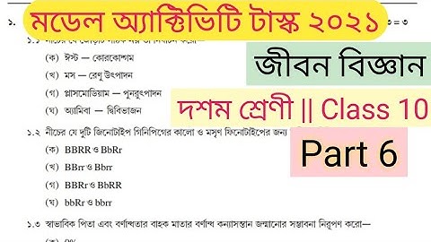 class 10 life science model activity task part 6