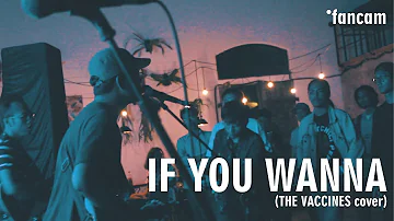 THE SCHUBERTS - IF YOU WANNA (THE VACCINES cover)
