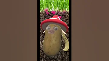 انت مش مظبوط الكبير زهق 