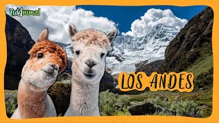 LOS ANDES SALVAJES: Sus extraordinarios animales