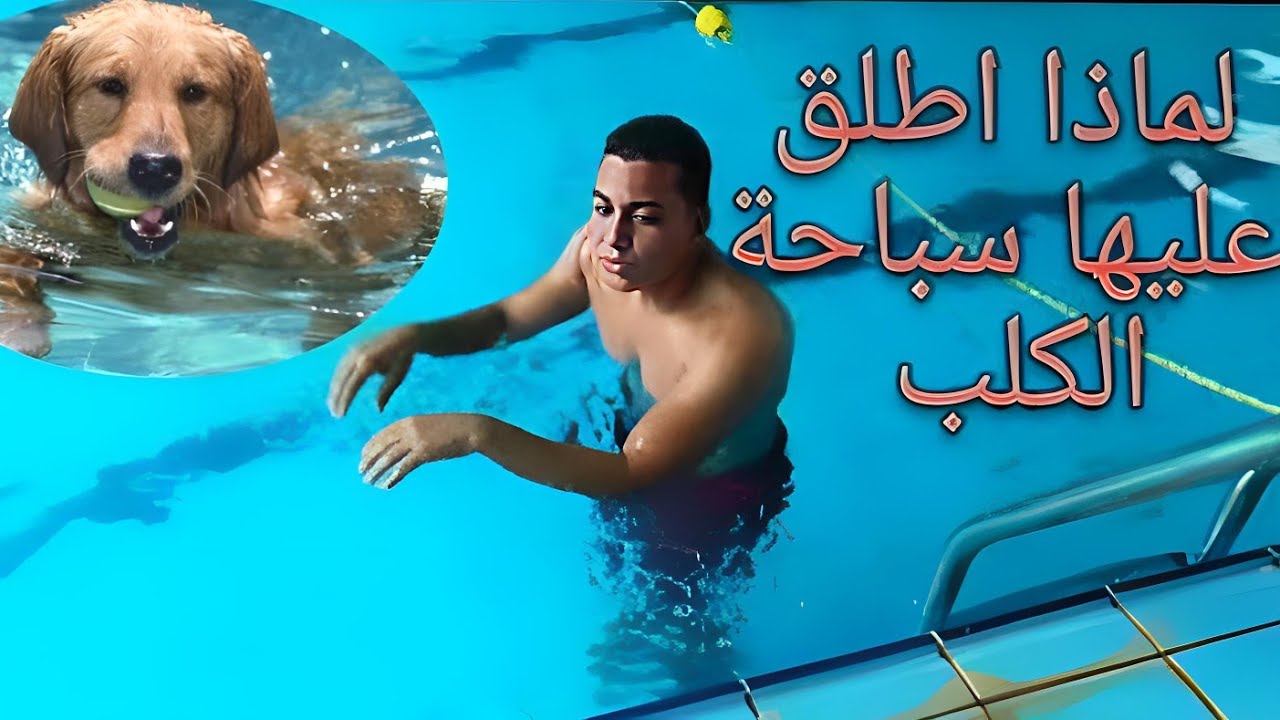 تعليم سباحة سباحة الكلب ( العوم الكلابي) ماذا تعرف عنه ولية سموها سباحة كلابي او سباحة الكلب 🏊