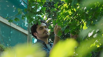 Study Environment at Flinders