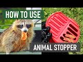 How to Use Animal Stopper Granular Repellent [Humane Animal Control]