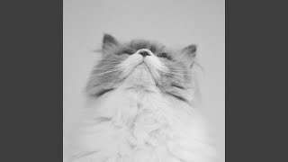 Download Lagu Gomenne MP3