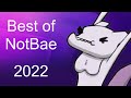 Best of NotBae 2022