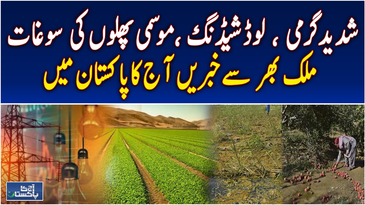 Ghanche Beauty Under Threat | Blughar Ranga Affected | Haripur Heat Drives People | Aaj News