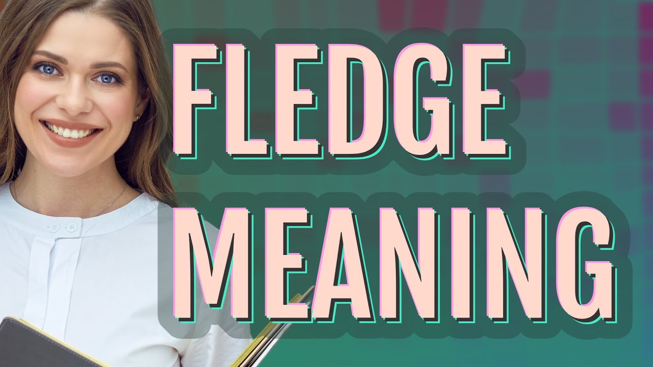 Fledge meaning of Fledge YouTube