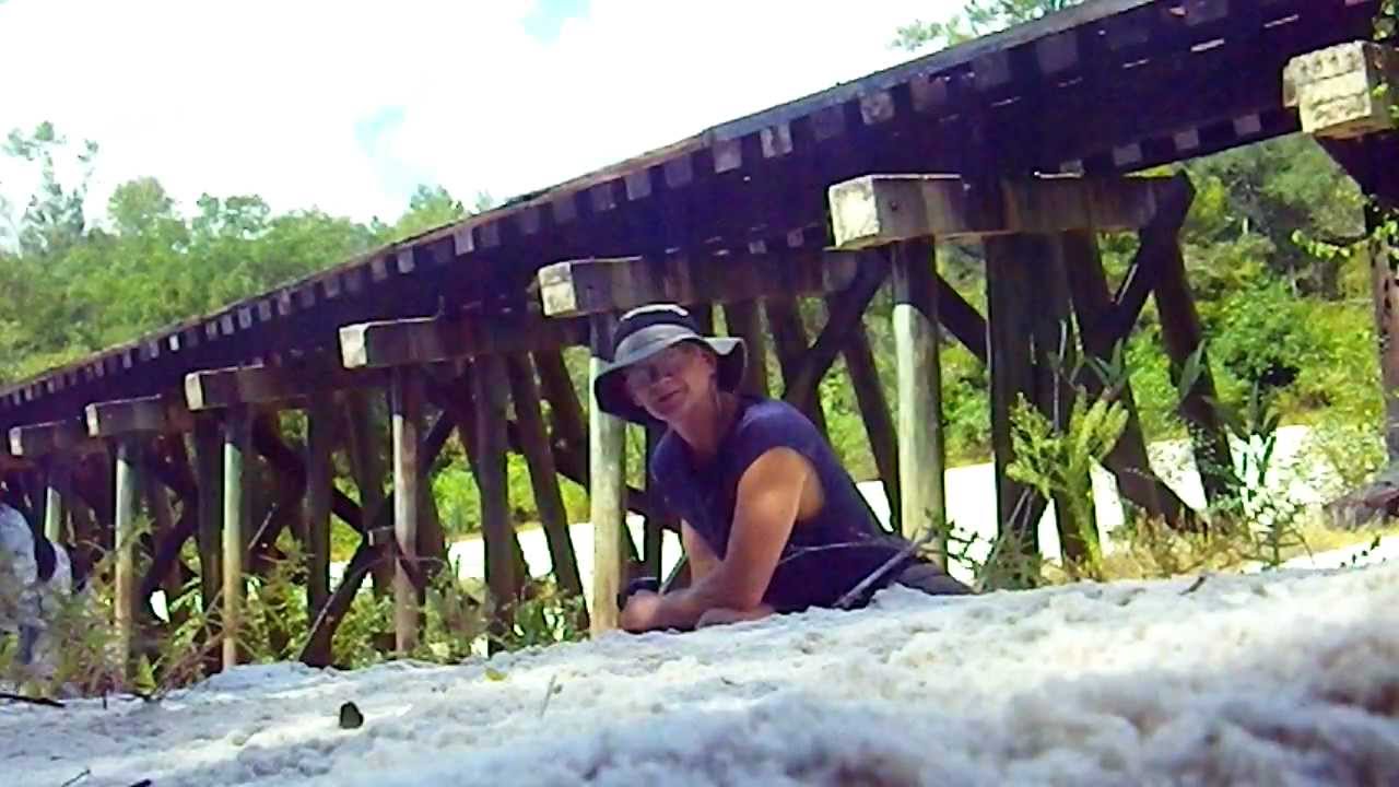 Alapaha River - Seldom Seen South .com