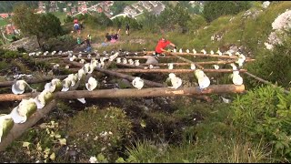 Feuer und Flame - Ludwigsfeuer in Oberammergau