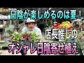 【寄せ植え】日陰が楽しめるのは夏の特権！オシャレな日陰寄せ植え作り♫